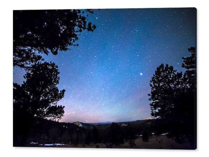 Starry Rocky Mountain Forest Night Canvas Print