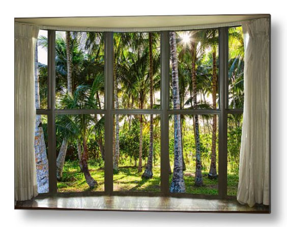 Tropical Jungle Reflections Bay Window View Metal Print