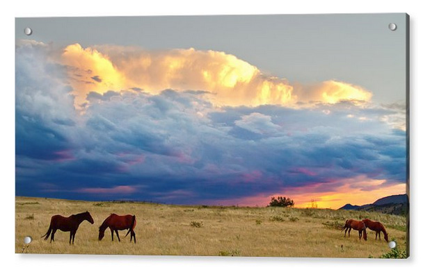 Horses On The Storm Panorama Acrylic Print