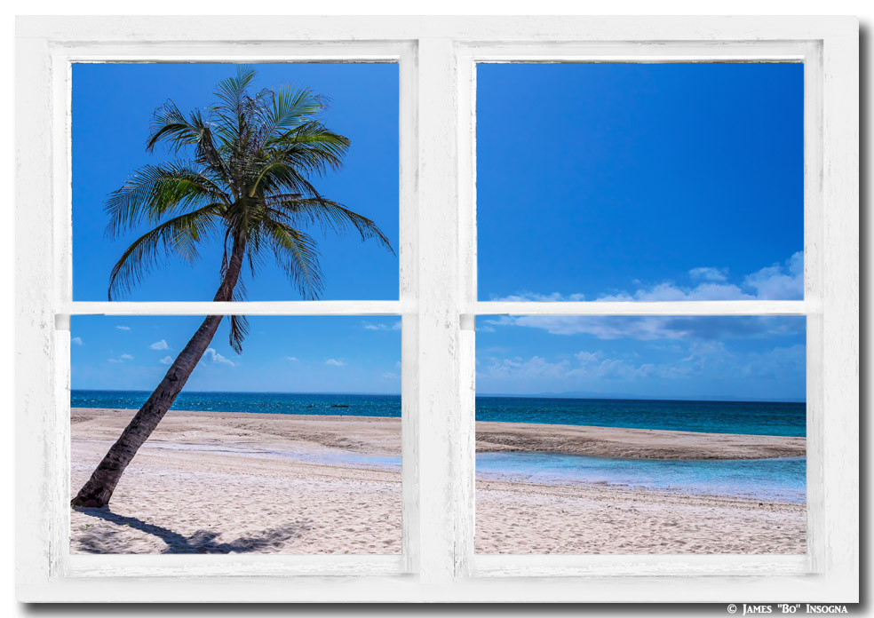 Tropical Paradise Whitewash Picture Window View