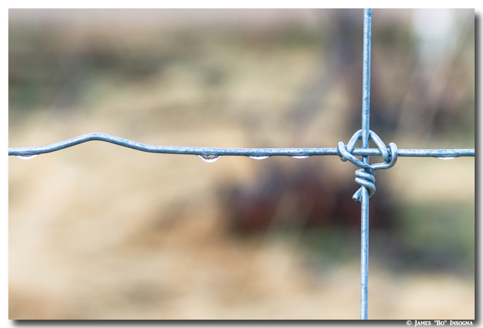 Wire Fence