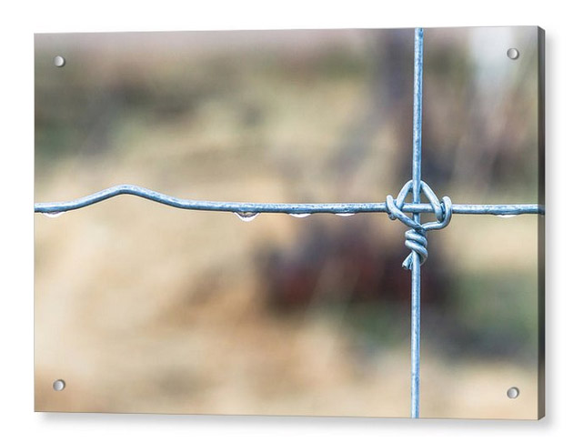 Wire Fence Acrylic Print