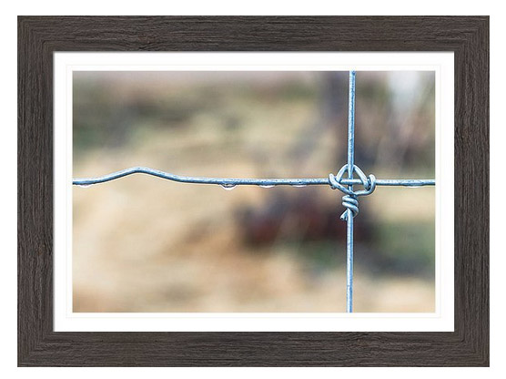 Wire Fence Framed Print