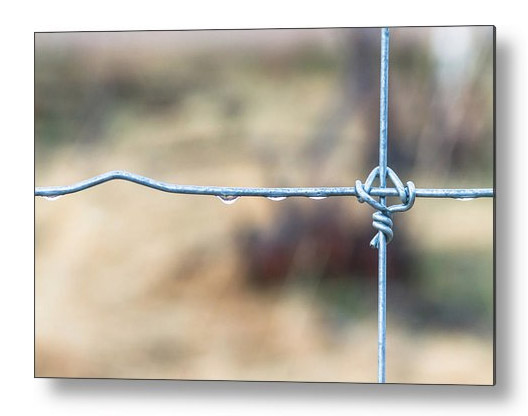 Wire Fence Metal Print
