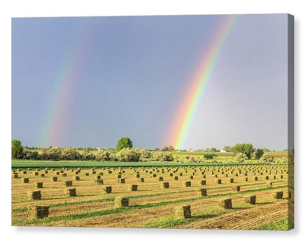 Just Another Country Rainbow Canvas Print
