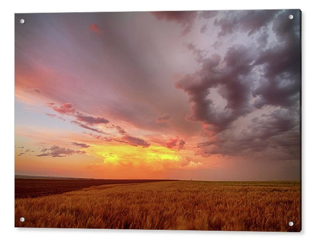 Colorado Eastern Plains Sunset Sky Acrylic Print