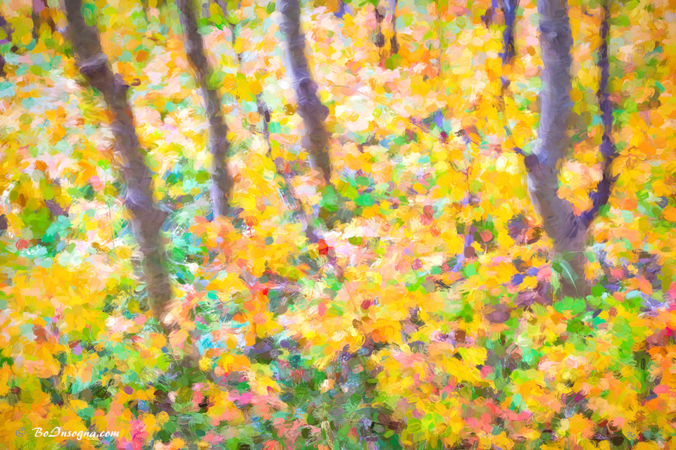 Colorful Forest Abstract painting