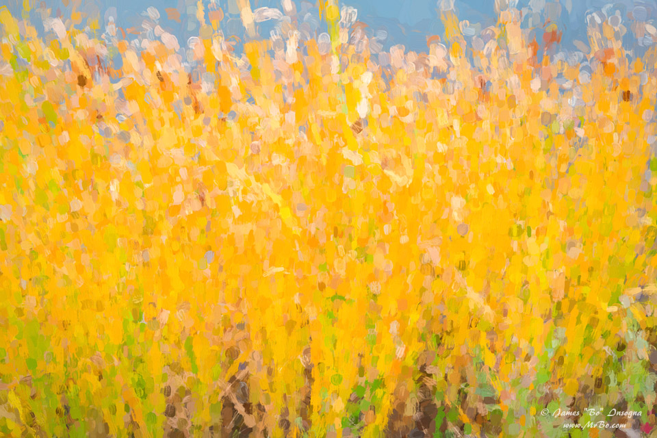 Abstract Colorful Cattails Grasses art painting