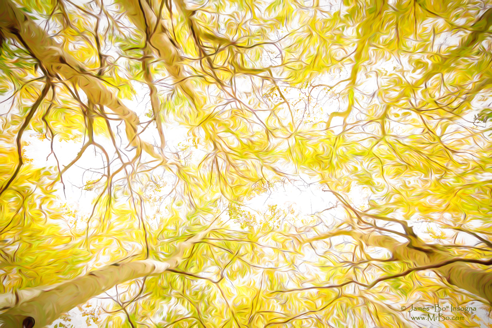 Golden Forest Canopy Van Gogh Style Art Print