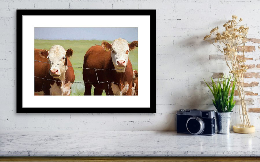 Two Cows Digital Art Framed Print